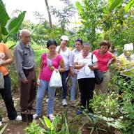 Comunidad de Práctica Plantas medicinales y productos de cuidado personal