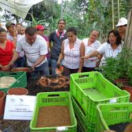 Comunidad de Práctica en Organoponía/Terrapreta