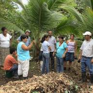 Comunidad de Práctica en Agricultura Bajo Costo (ABC)